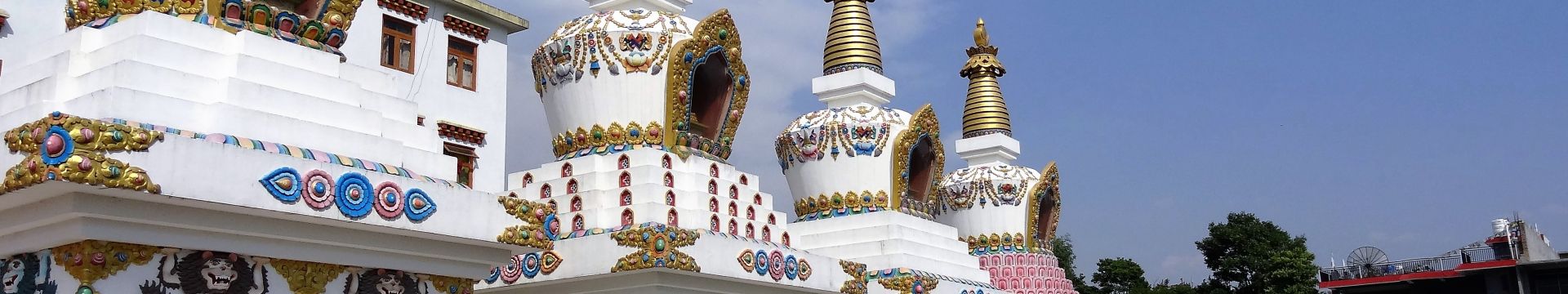 stupa monastere bir dharamsala